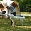 Lučenec 15.9.2013