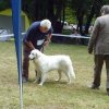 Národná výstava psov 20.7.2012