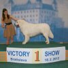 VictoryShow 2012