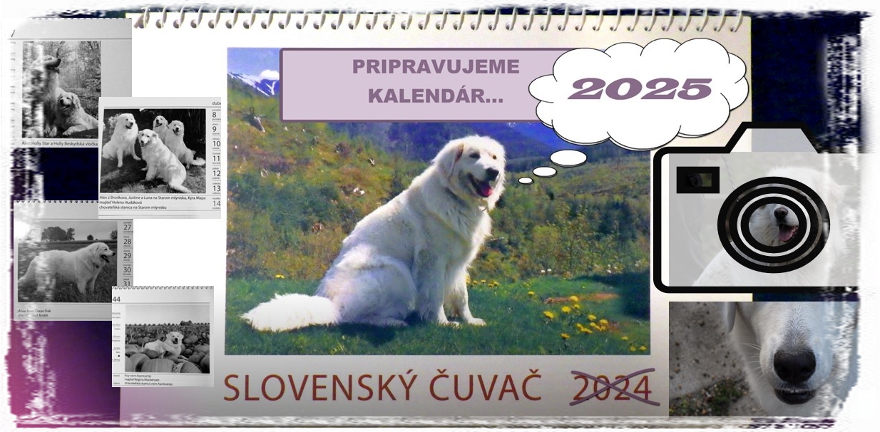 kalendar  2025